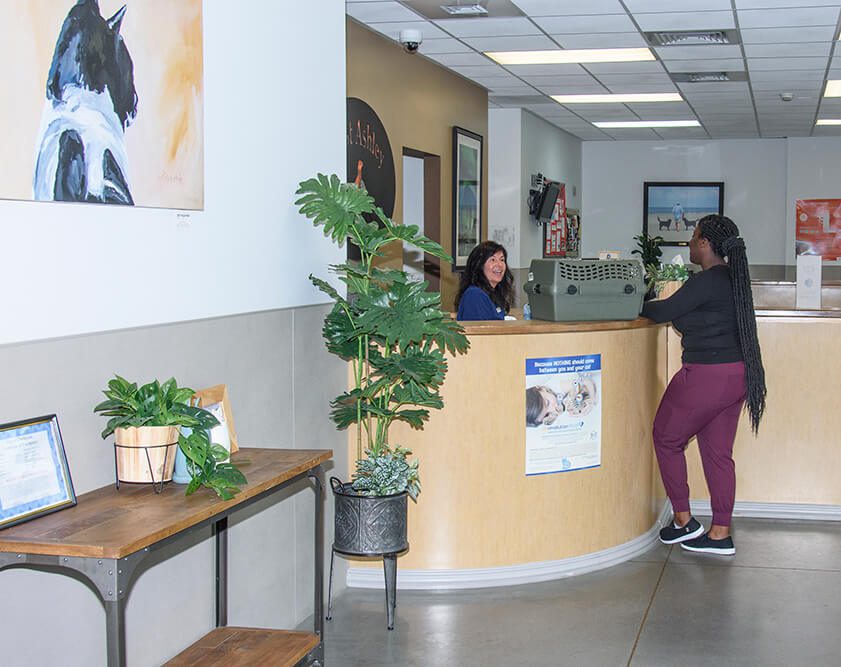two women at reception desk in animal hospital