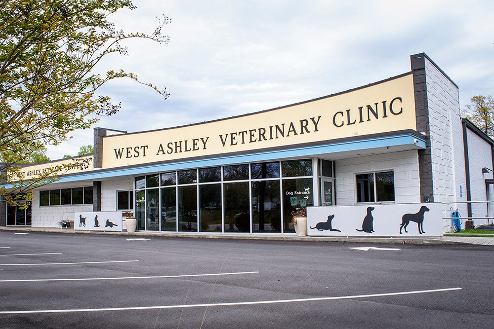 exterior of building West Ashley Animal Clinic